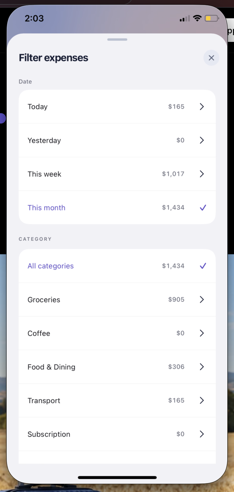 Expense history filtering options for dates and spending categories.