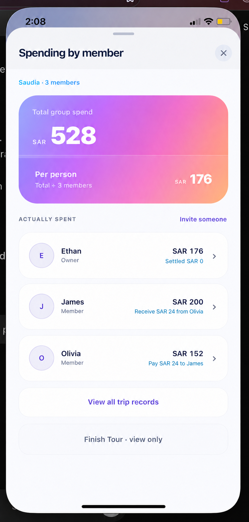 Group expense screen showing a $528 total and $176 per person.